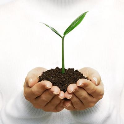 Картинка для нового логотипа