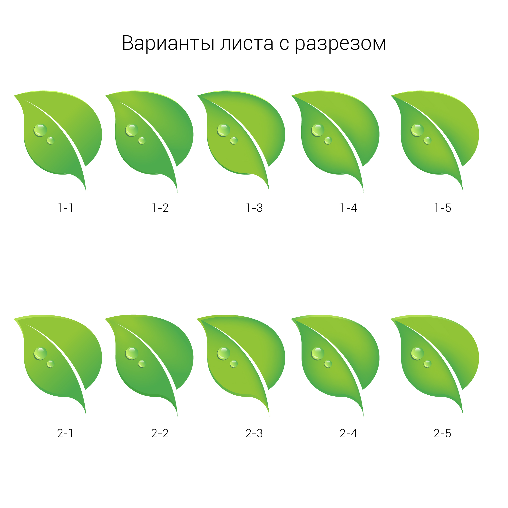 лого с разрезом