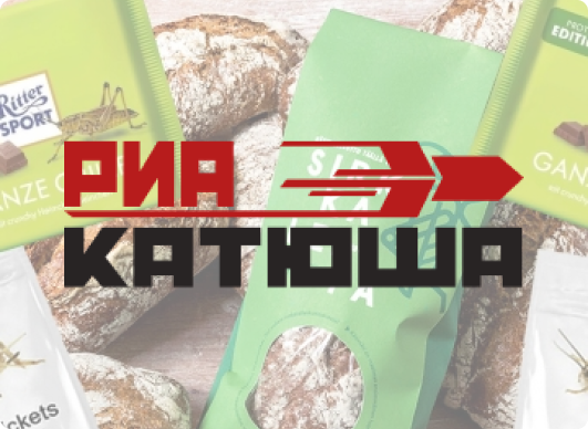 Создание сайта для РИА «Катюша»: интересный опыт разработки страниц СМИ